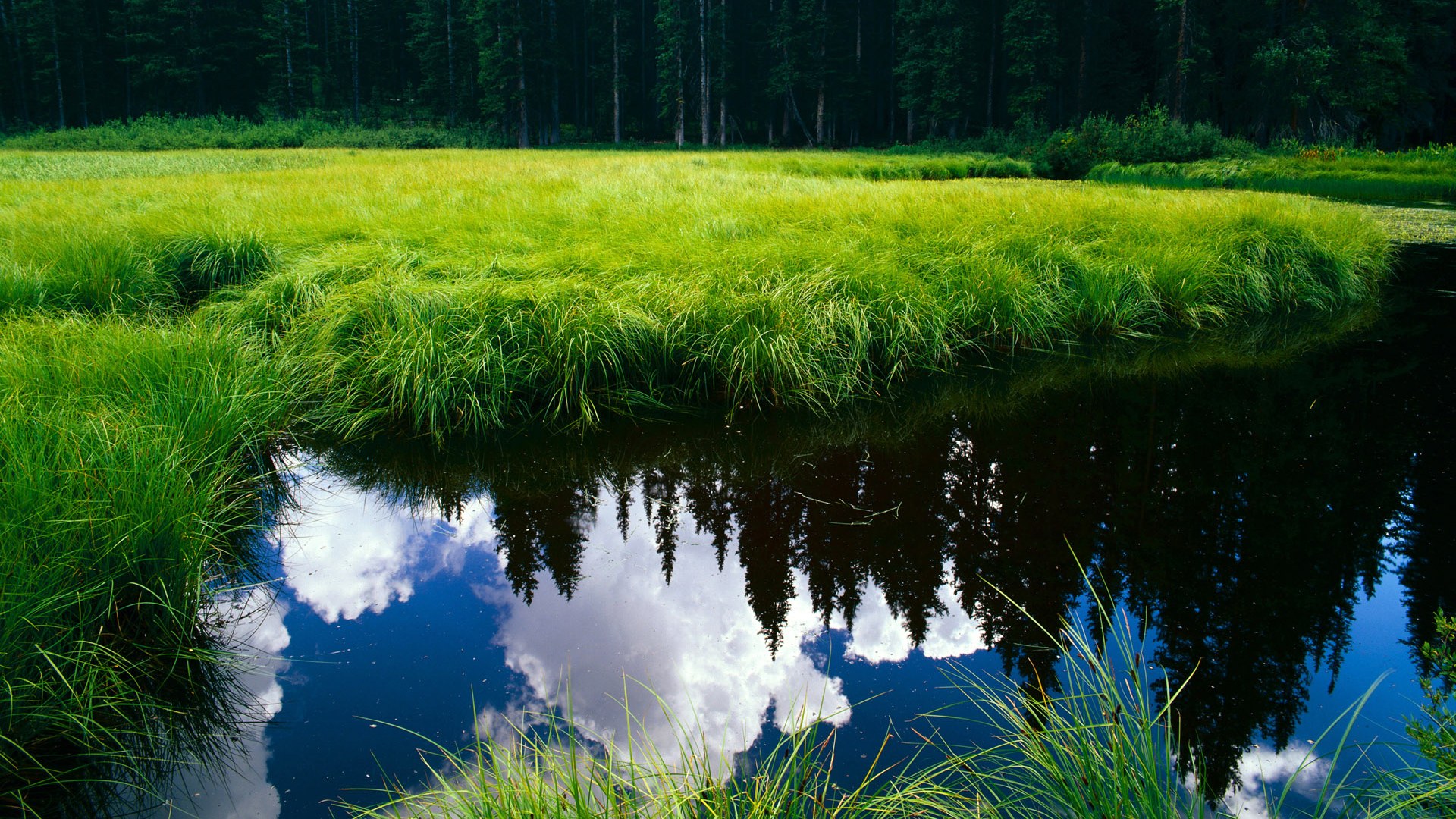 “极速逆袭:惊心动魄的超车瞬间”,极速突袭全本免费阅读