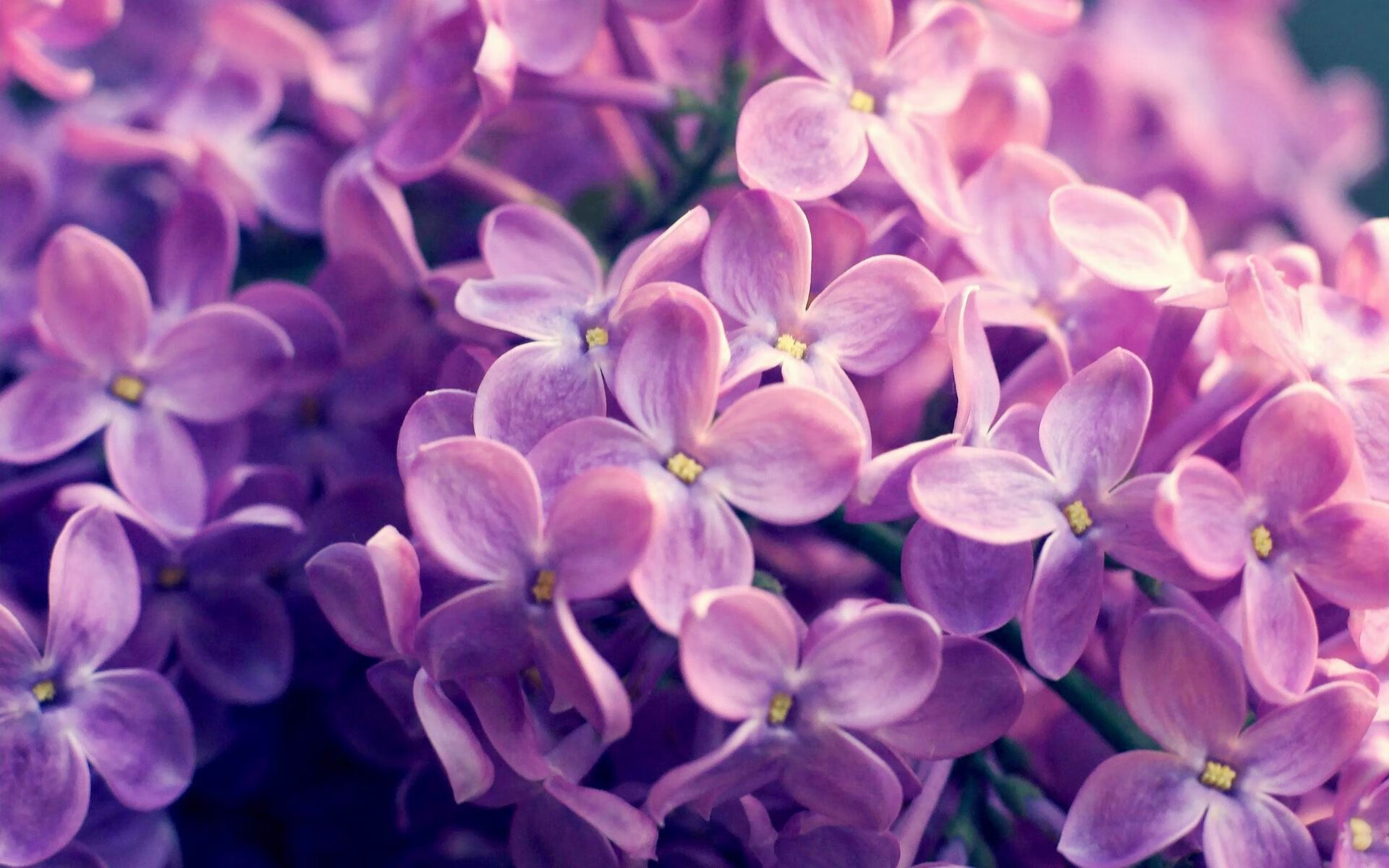 儿童专属：拉力赛推广青少年运动的成功案例，拉力赛活动