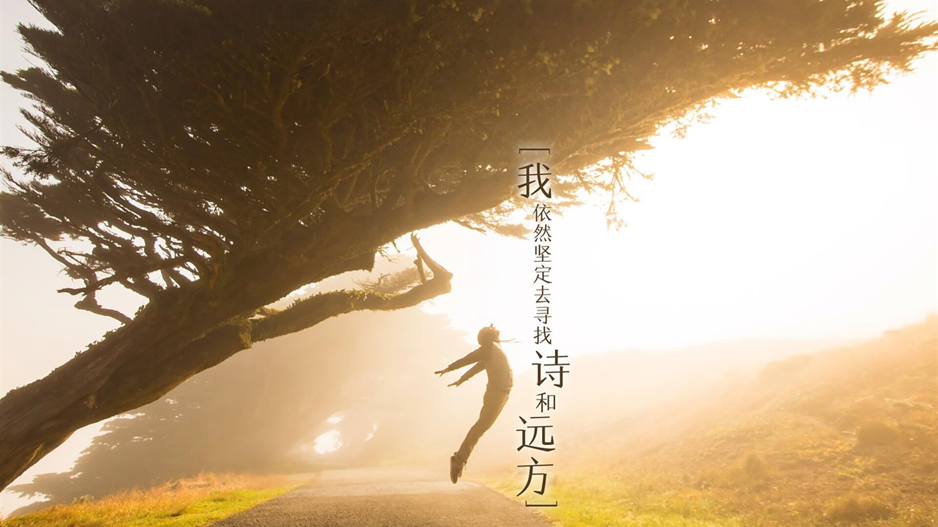 历史性电竞战队零封卫冕冠军，电竞历史奖金排行榜