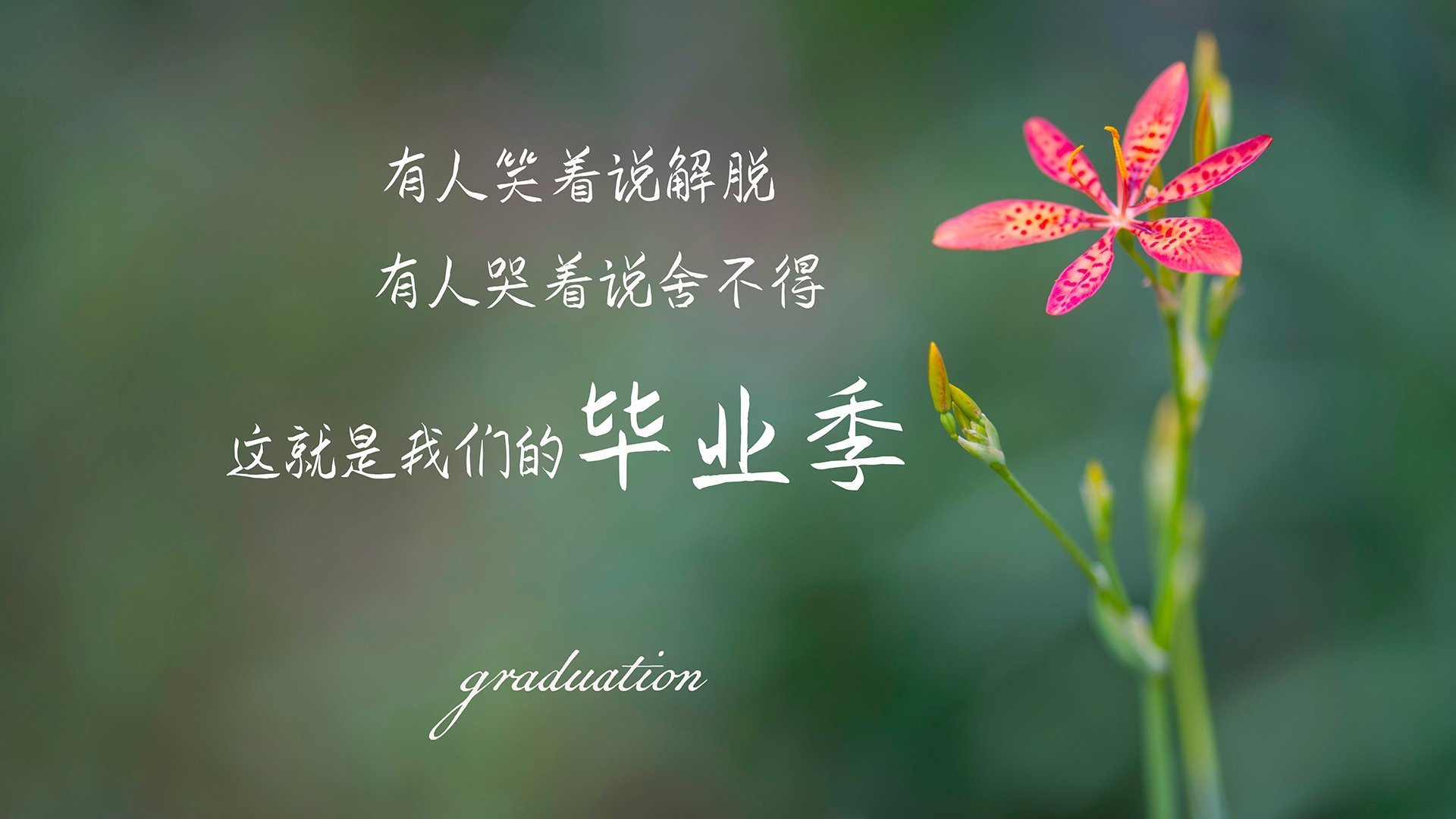 女足青年梯队选拔机制不断完善，女足男足青年队