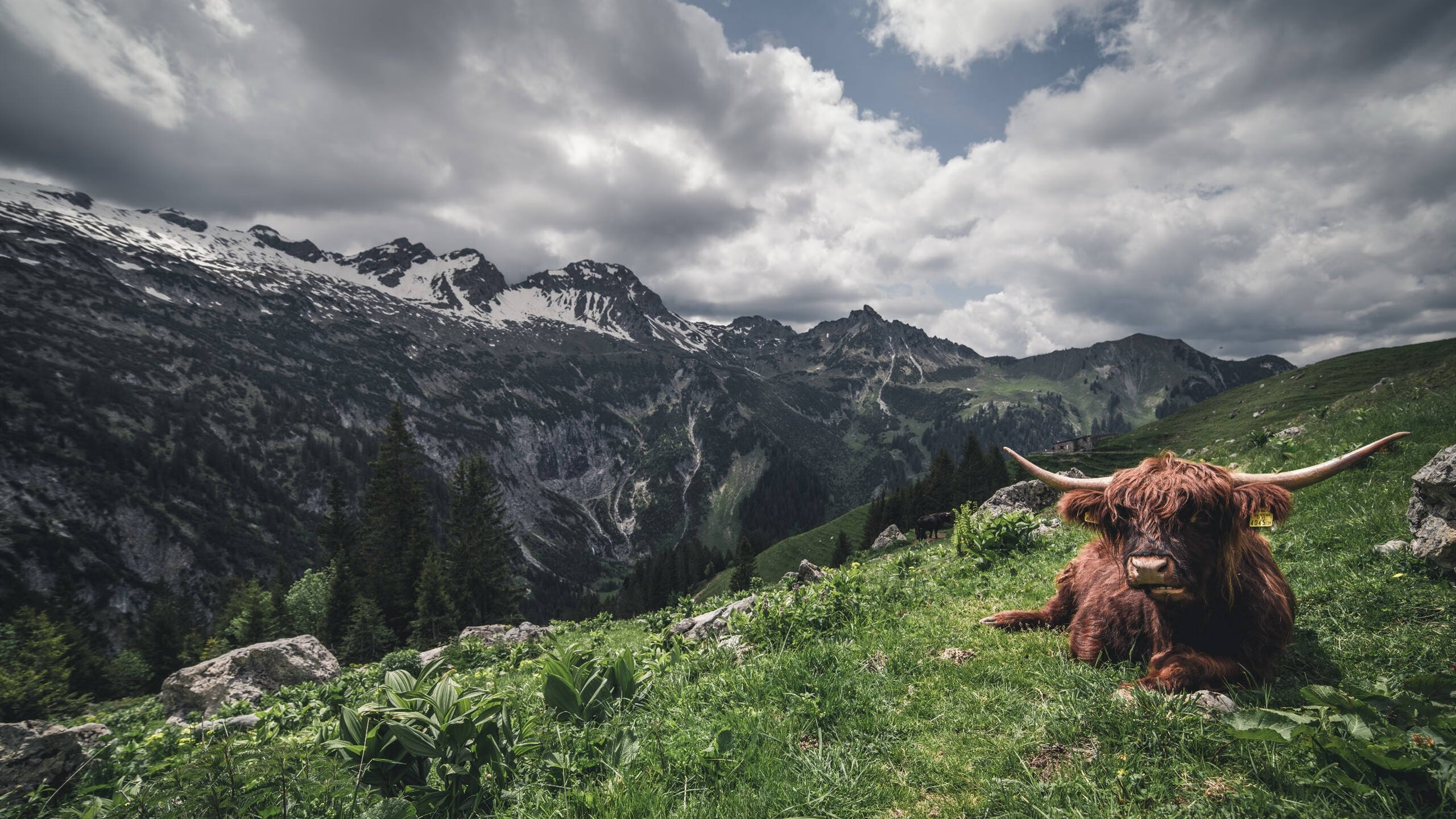 女足青年队员海外交流增多，竞技水平提升，女足海归