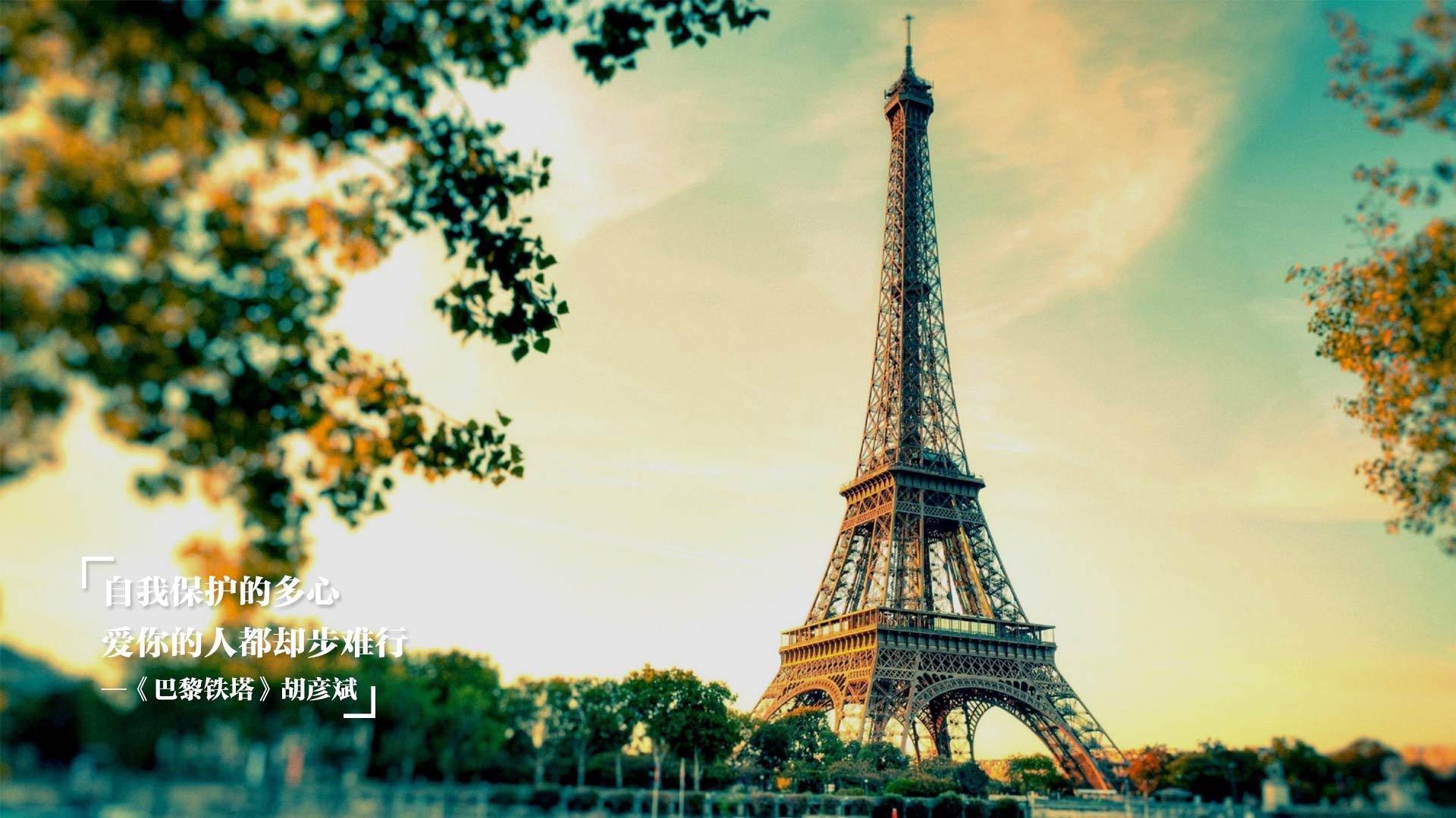 杭州瑜伽论坛成功举办，探讨行业未来，杭州瑜伽培训学院