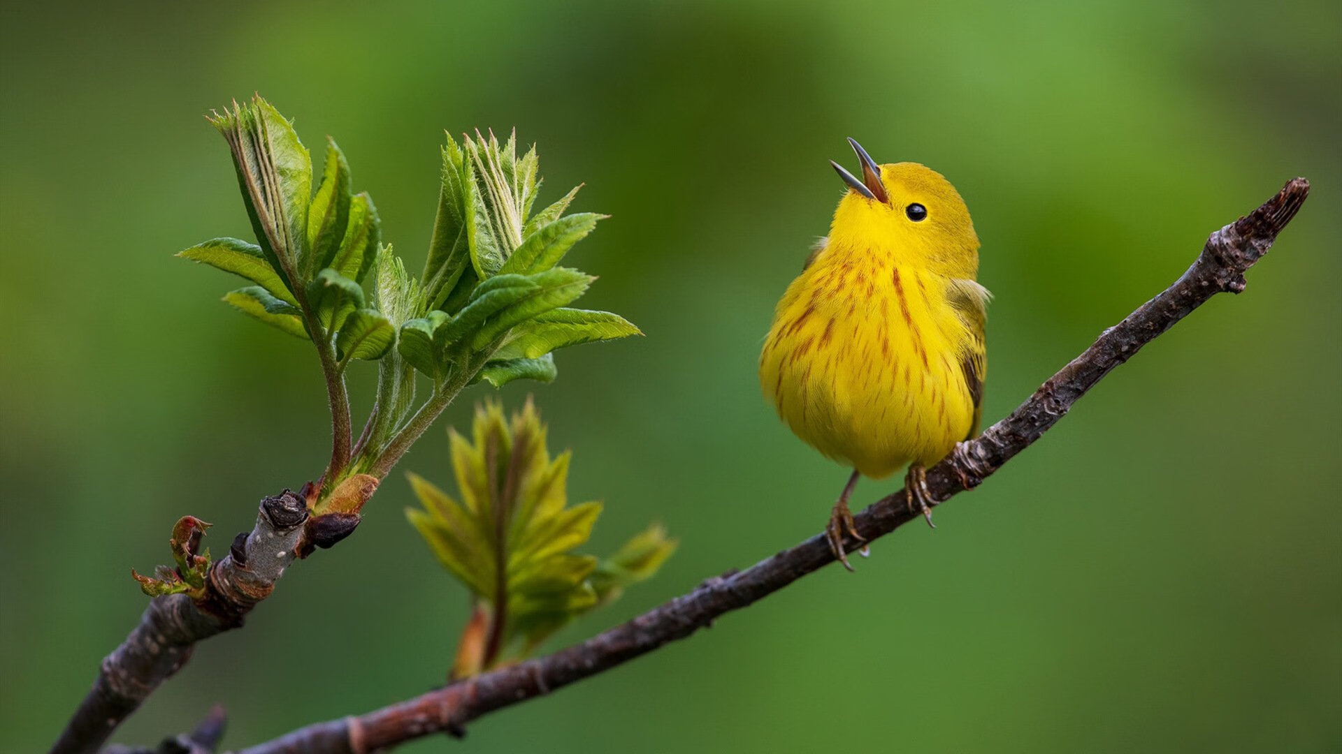 中国足球进攻端战术依赖点趋势统计，足球进攻战术分为哪三种