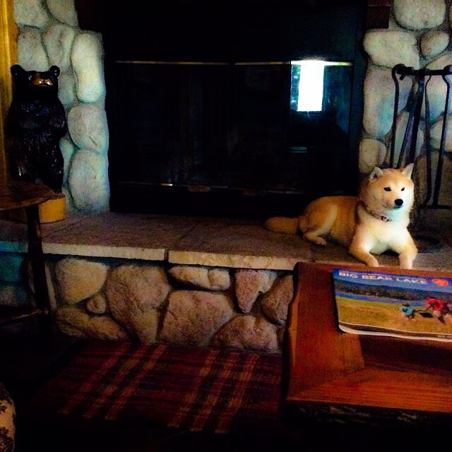 中国男篮新任主教练上任 带来新气象，中国男篮主教练什么级别