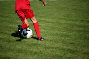 冬奥场馆智能系统协助运动员热身训练，冬奥会设备