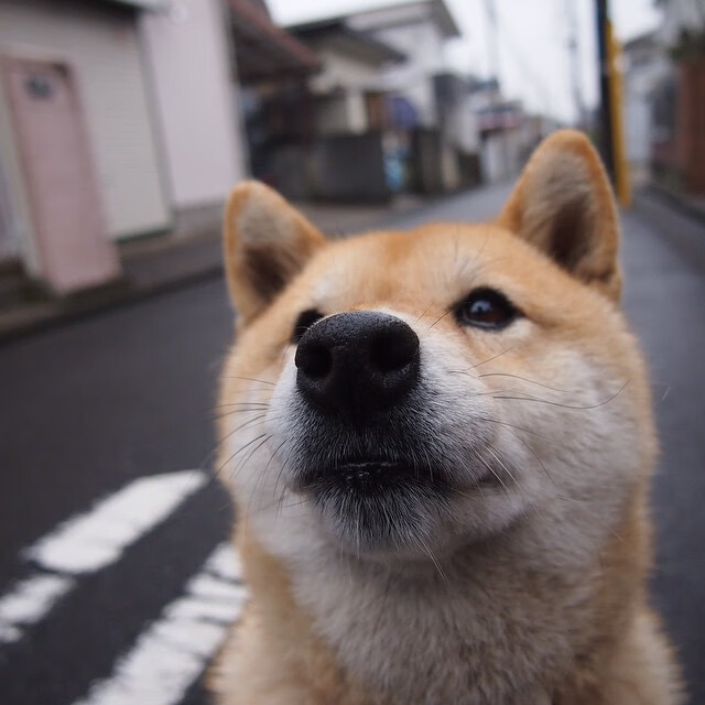 国家体育总局发布新型体能评估系统试点学校名单，新体能标准