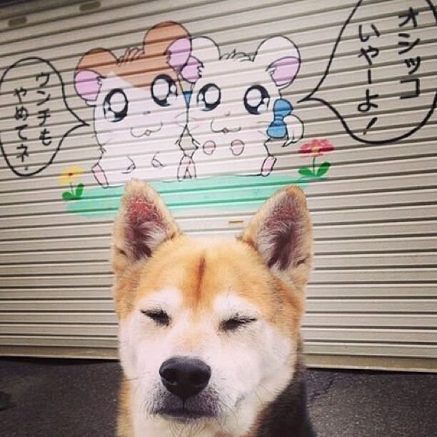 字母哥强势复出雄鹿伤病名单更新,字母哥还在雄鹿队吗