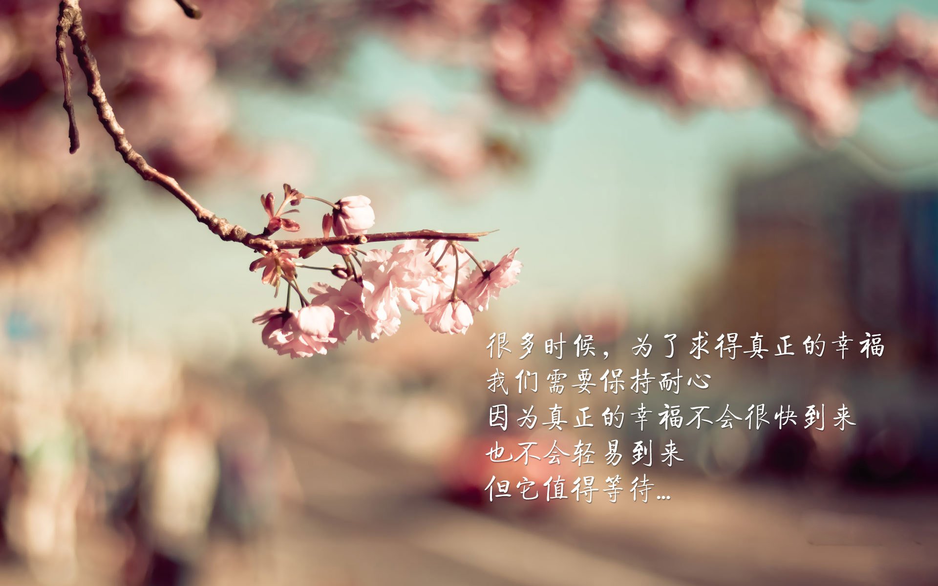 格鲁吉亚女篮在欧洲锦标赛中亮相,领跑精彩新版图,格鲁吉亚赛程