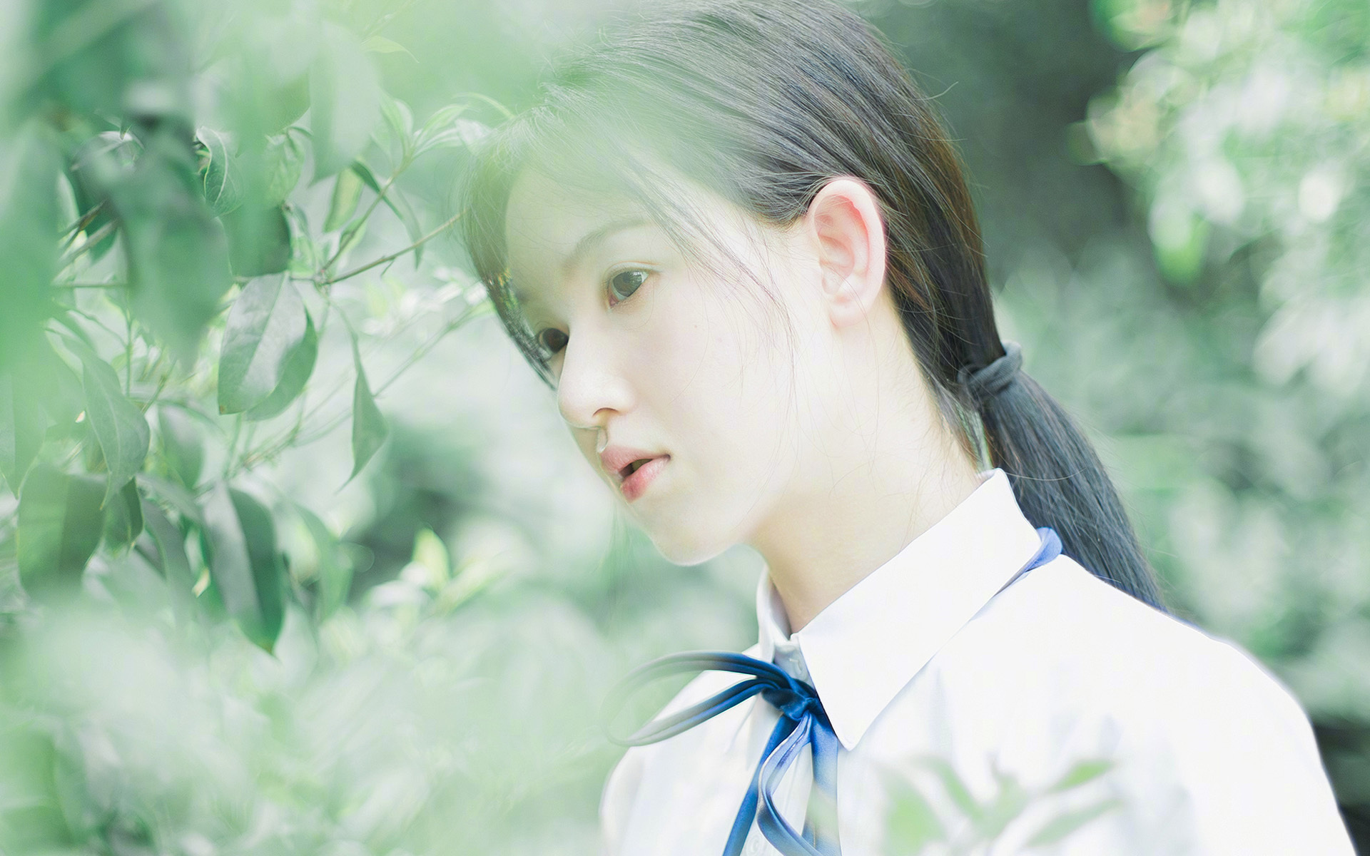 球迷协会发布倡议书呼吁理性观赛营造良好体育文化氛围,篮球比赛倡议书文章