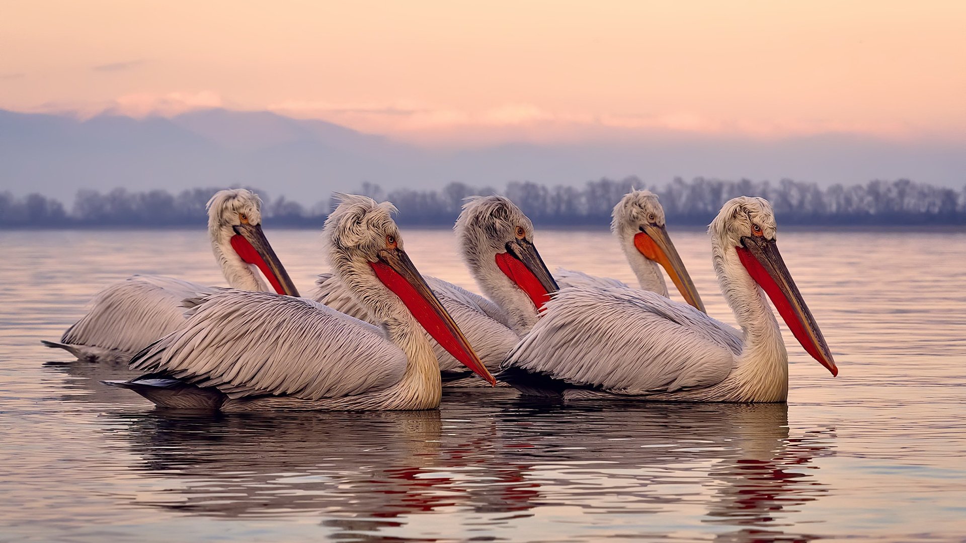 青少年篮球联赛增加个人成就徽章系统提升动力,青少年篮球大赛